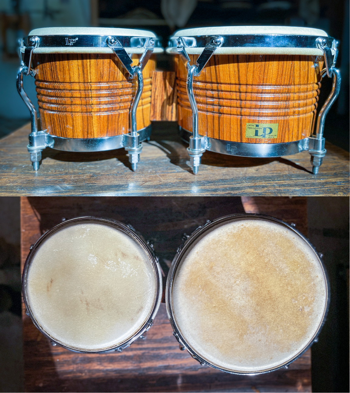 1978 LP Palisades Park Zebra Wood Bongos - Manito Percussion